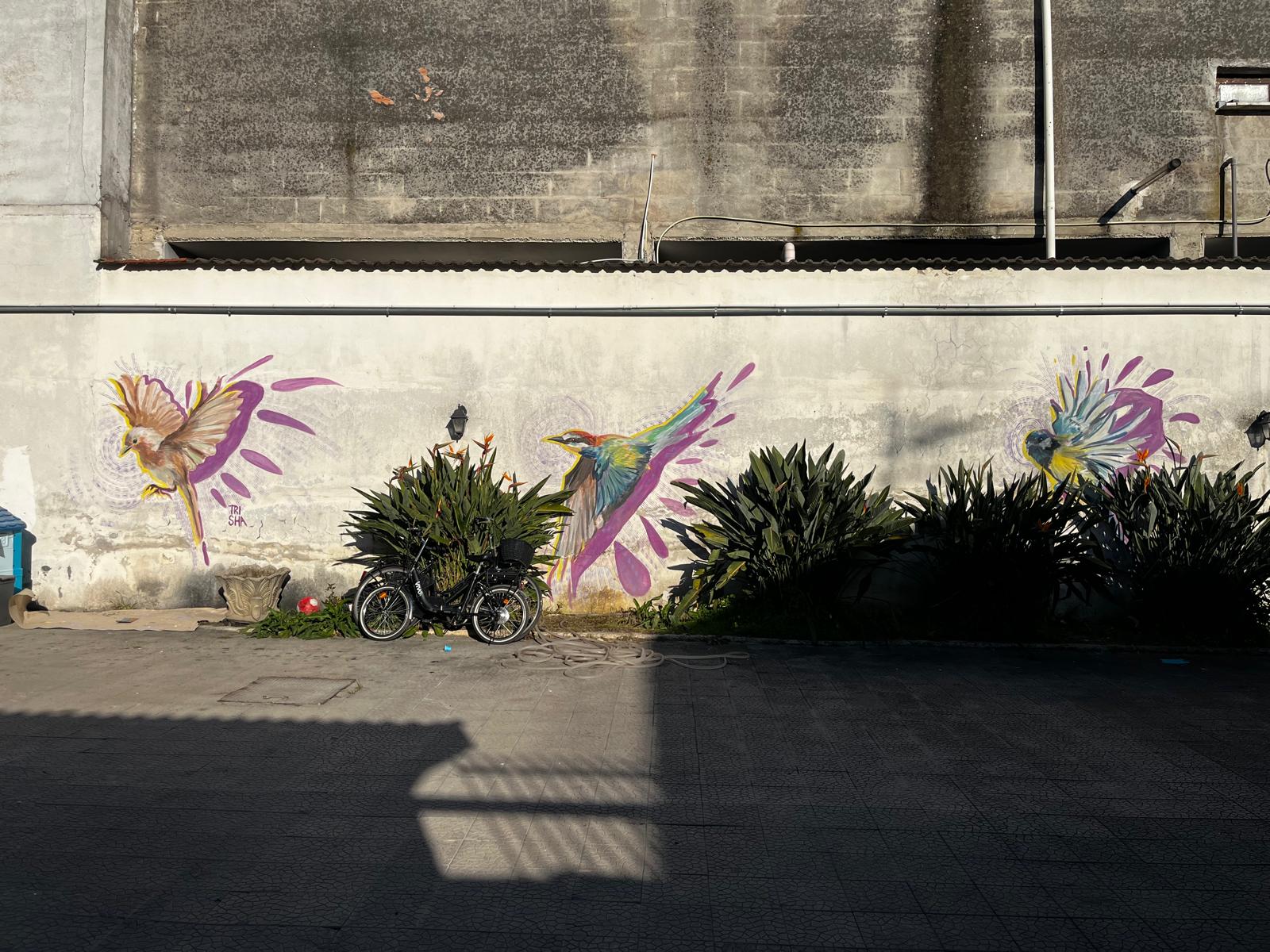 Trisha Street Artist, Trisha Murales Napoli, Trisha Arte Urbana Napoli, Trisha Pittrice Napoli, Trisha Scenografa Napoli
